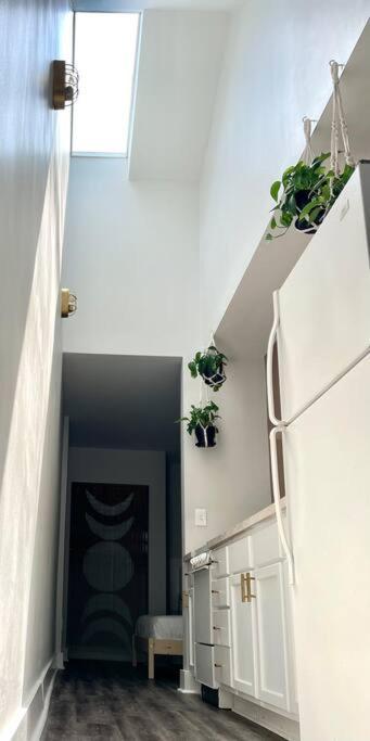 Geodis Park Apartment In Weho Нашвілл Екстер'єр фото