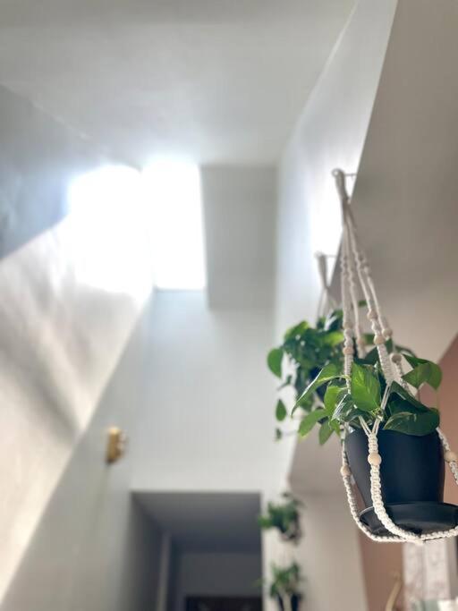 Geodis Park Apartment In Weho Нашвілл Екстер'єр фото